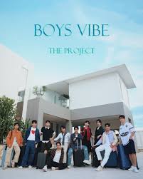 Boys Vibe The Project